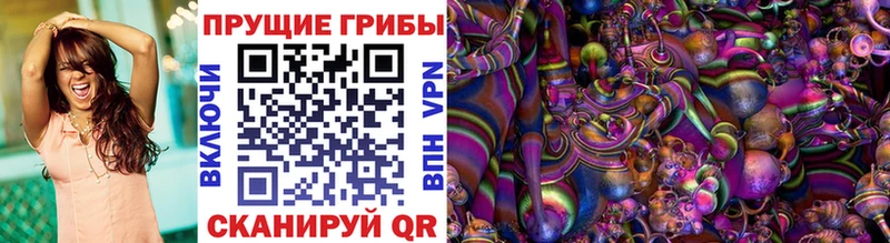 Купить где  Кандалакша  Псилоцибиновые грибы прущие грибы 